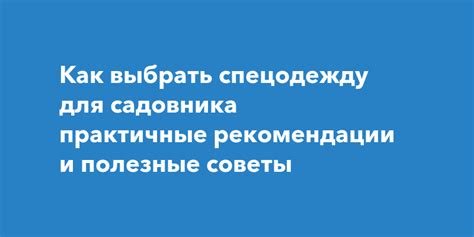 Практичные рекомендации и полезные советы
