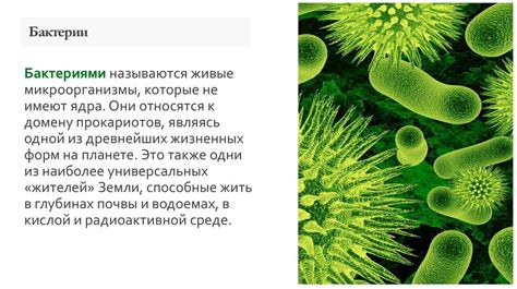 Предотвращение негативных последствий отсутствия антигена определенной бактерии в организме