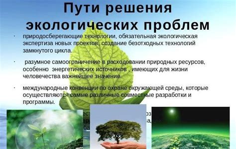 Представление оригинальных и экологических решений