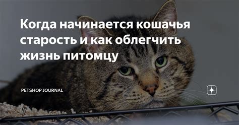 Представление о поведении стареющей козы