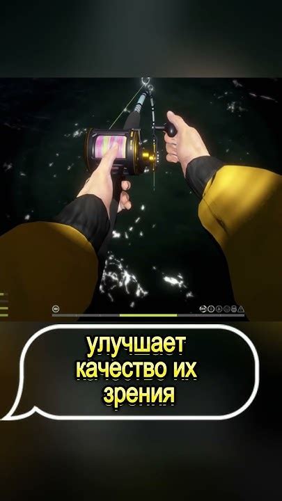Предупреждение о предательстве: значение сна о рыбе, попадающейся в руки