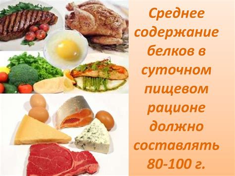 Преимущества белков в ночном рационе