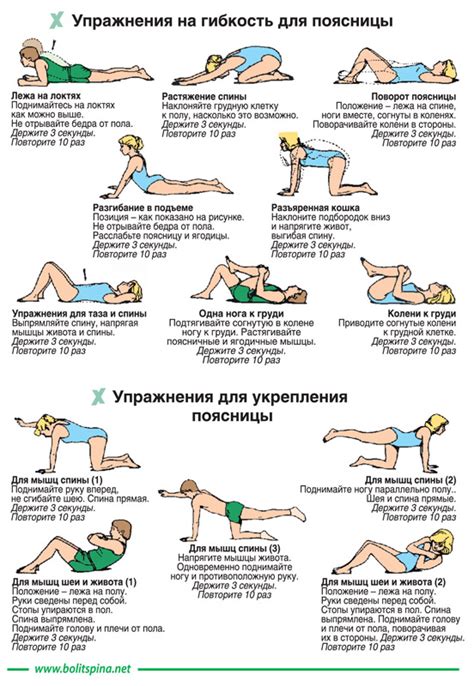 Преимущества ежедневных приседаний для уменьшения риска травм и болей в спине