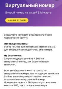 Преимущества использования виртуального номера пластиковой карточки Тинькофф Мир