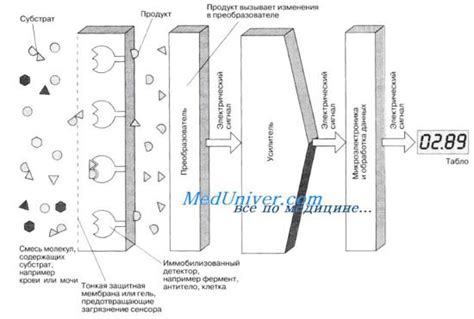 Преимущества использования глюкозы с калием внутривенно