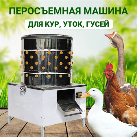 Преимущества использования перосъемной машины для уток