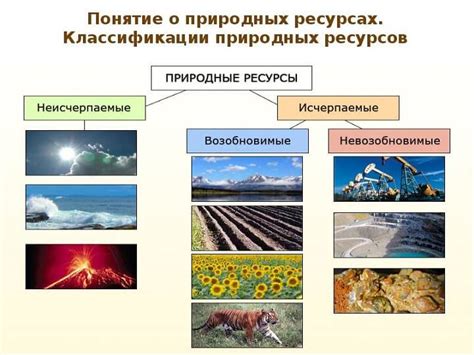 Преимущества использования природных средств и способы их применения