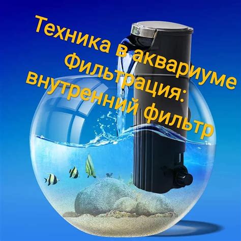 Преимущества использования UV фильтра для любителей и профессионалов