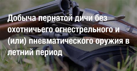Преимущества охотничьего оружия без нарезки