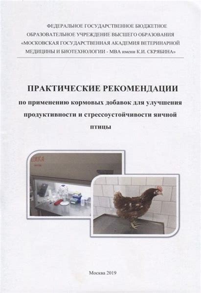 Преимущества применения добавок и препаратов для повышения яичной продуктивности птицы
