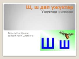 Преодоление препятствий при отображении шрифта тувинского языка