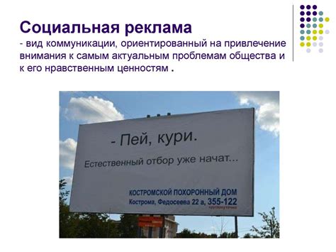 Привлечение внимания дятла устройствами в здании