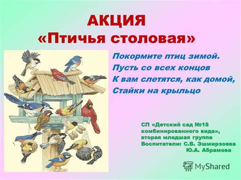 Привлечение внимания птичек-стучалок к другим объектам