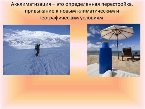 Привыкание к переменной погоде: адаптация к новым климатическим условиям