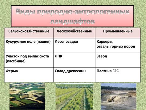 Привязанность к конкретным типам ландшафтов и экологические особенности