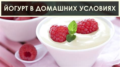 Приготовление вкусного йогурта в домашних условиях с помощью ацидофилина