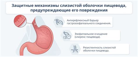 Приемы использования Октолипена для эффективного лечения гастроэзофагеальной рефлюксной болезни