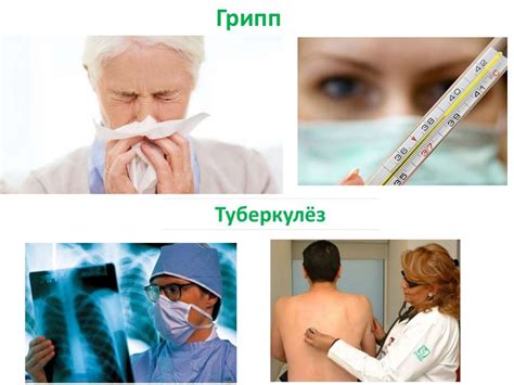 Признаки заболевания и меры по их предотвращению