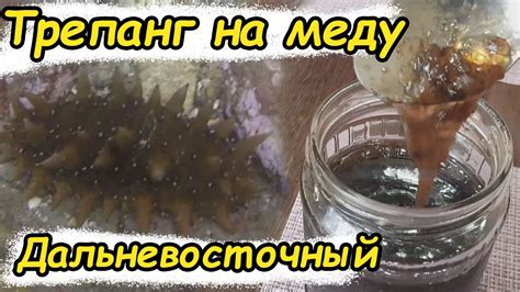 Признаки и особенности налета на меду