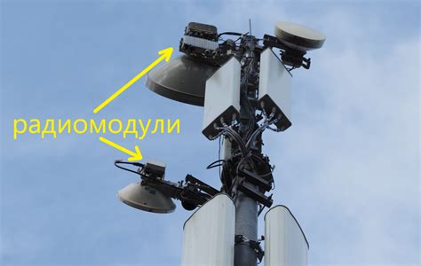 Применение РРЛ в современных областях