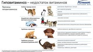 Применение антибактериальных добавок в рационе птицы