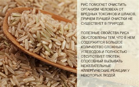 Применение бурого риса в салатах и гарнирах