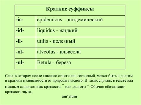 Применение в латинском алфавите: основные сферы использования
