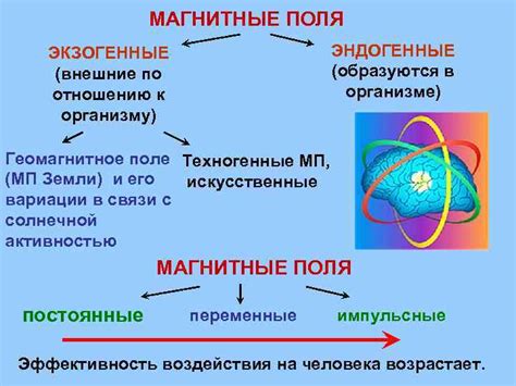 Применение магнитных свойств в нашей повседневной жизни