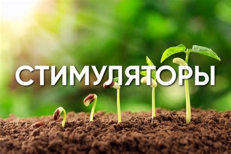 Применение методов обрезки и обработки для стимуляции роста бутонов