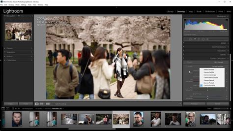 Применение настройки цветового баланса в Lightroom: пошаговое руководство