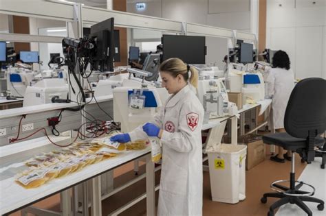 Применение новых технологий для продления срока хранения творога