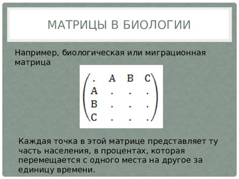 Применение социометрических матриц в разных областях