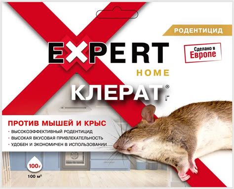 Применение химических препаратов для борьбы с грызунами