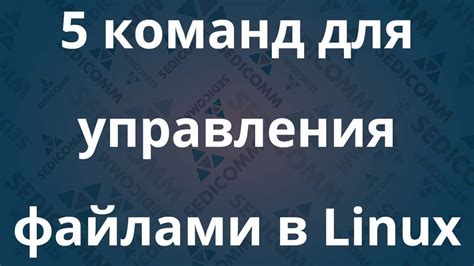 Примеры команд для создания и управления файлами в BeFS