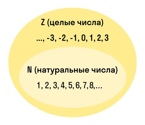 Примеры практического применения целых чисел в математике