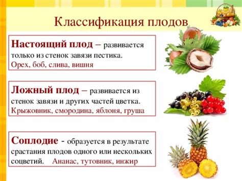 Примеры успешной доставки плодов в контейнер для фруктов