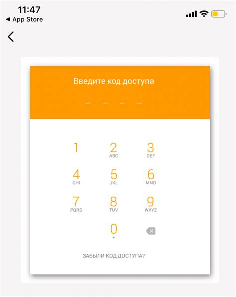 Пример применения ключа доступа к функционалу Киви кошелька