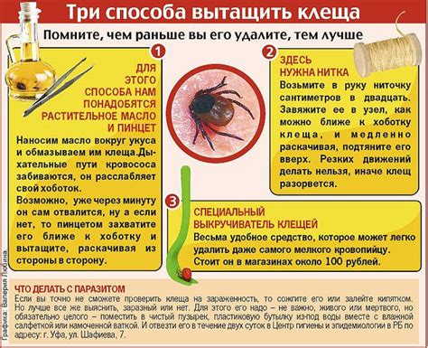 Принципы безопасного удаления паразита в условиях дома