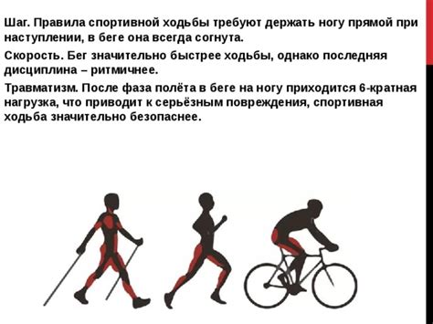 Принципы и правила спортивной ходьбы