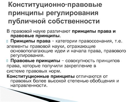 Принципы ключевой правовой системы: основополагающие принципы и их суть