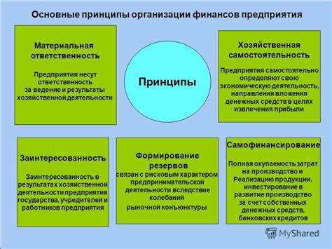 Принципы организации децентрализованной финансовой автономии