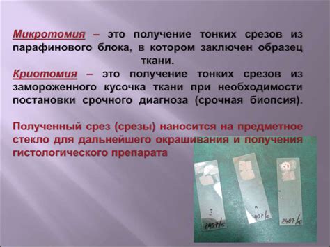 Принципы получения и сохранения гистологических срезов