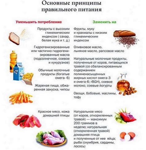 Принципы правильного питания для улучшения гибкости тканей