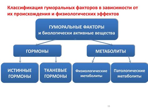 Принципы регуляции гомеостаза