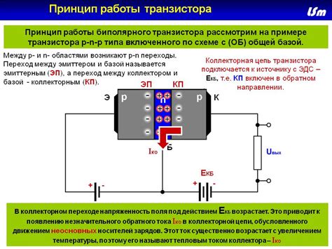 Принцип работы кэширования и его значение в повышении скорости отображения