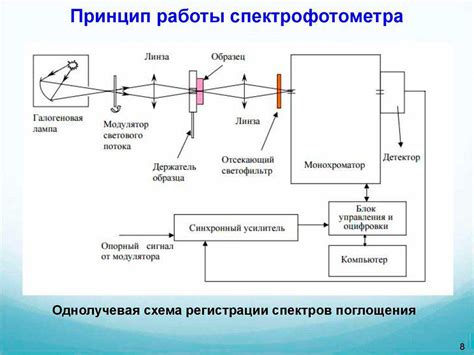 Принцип работы натурального растительного состава для временных рисунков на коже