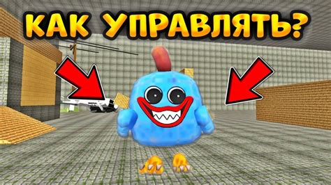 Приобретение хаги ваги в магазине Chicken Ghana: преимущества для вас