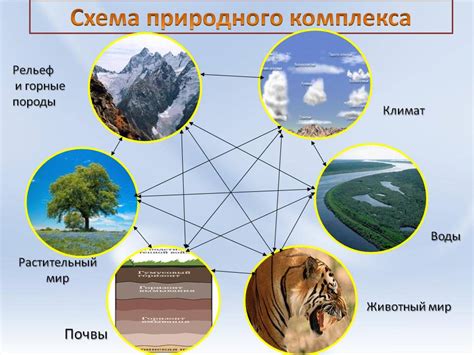 Природные компоненты, способствующие здоровью