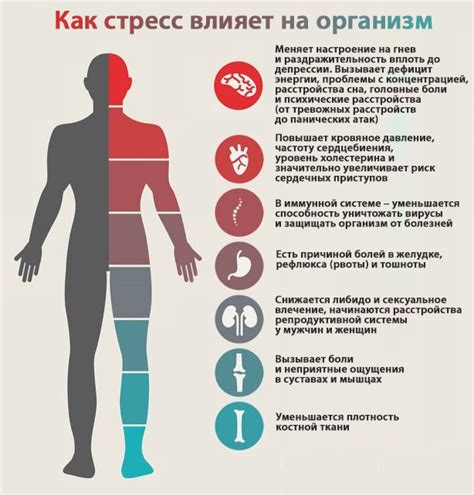 Причина №3: Стресс и переживания