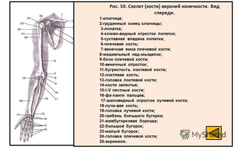 Причины возникновения опухоли на верхней конечности